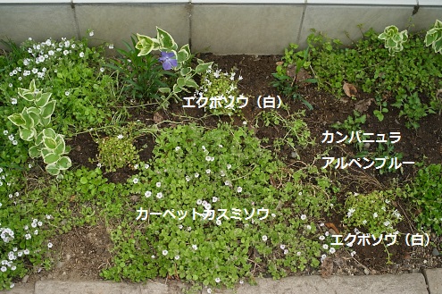細長い花壇2