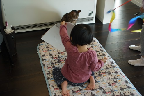 最近の猫と子供たちの様子 25坪の平屋日和